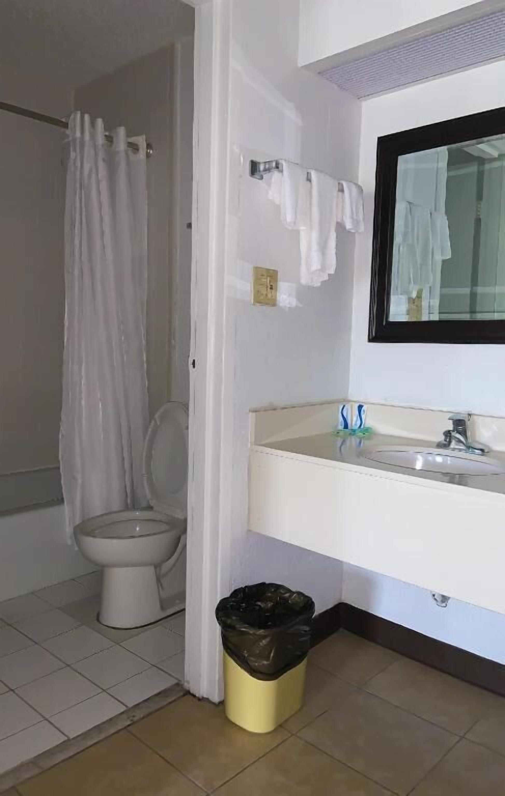 A bathroom with a toilet, a sink, a mirror, and a trash bin.