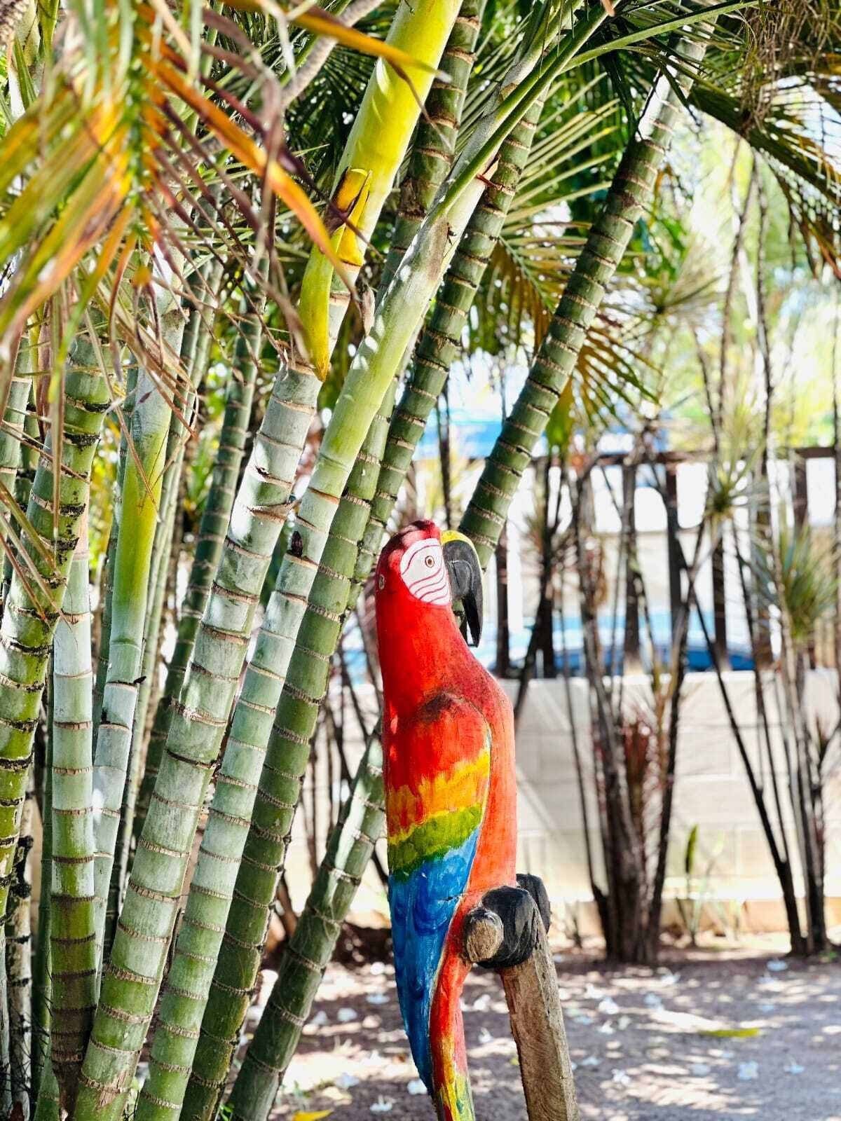 Photo - Pousada Sky Beach Flat