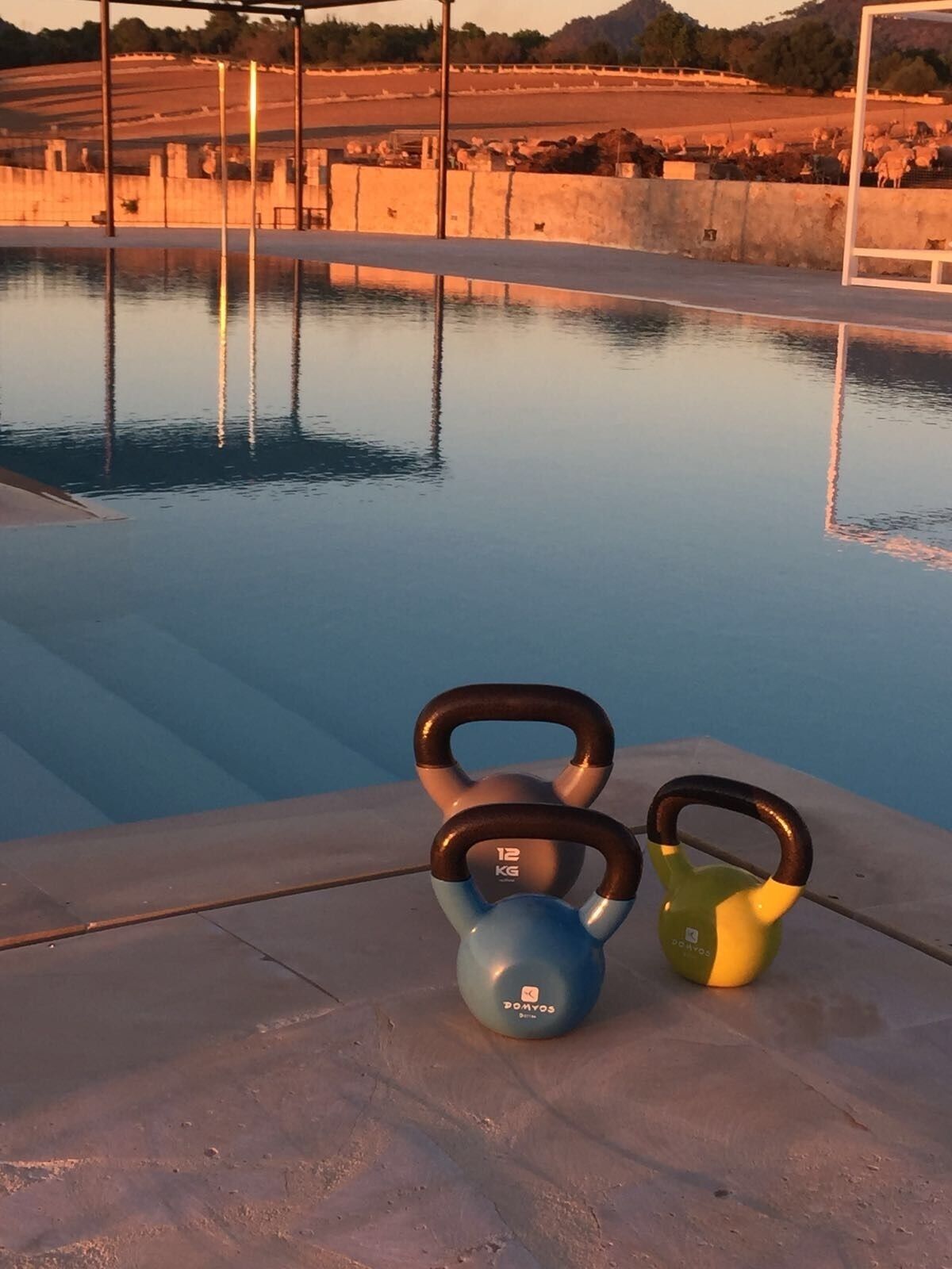 A swimming pool with two kettlebells placed on the edge.