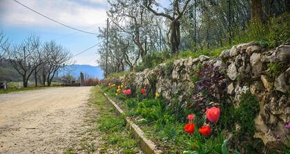 Bed and Breakfast La Quiete