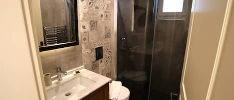 A modern bathroom with a sink, mirror, and toilet.