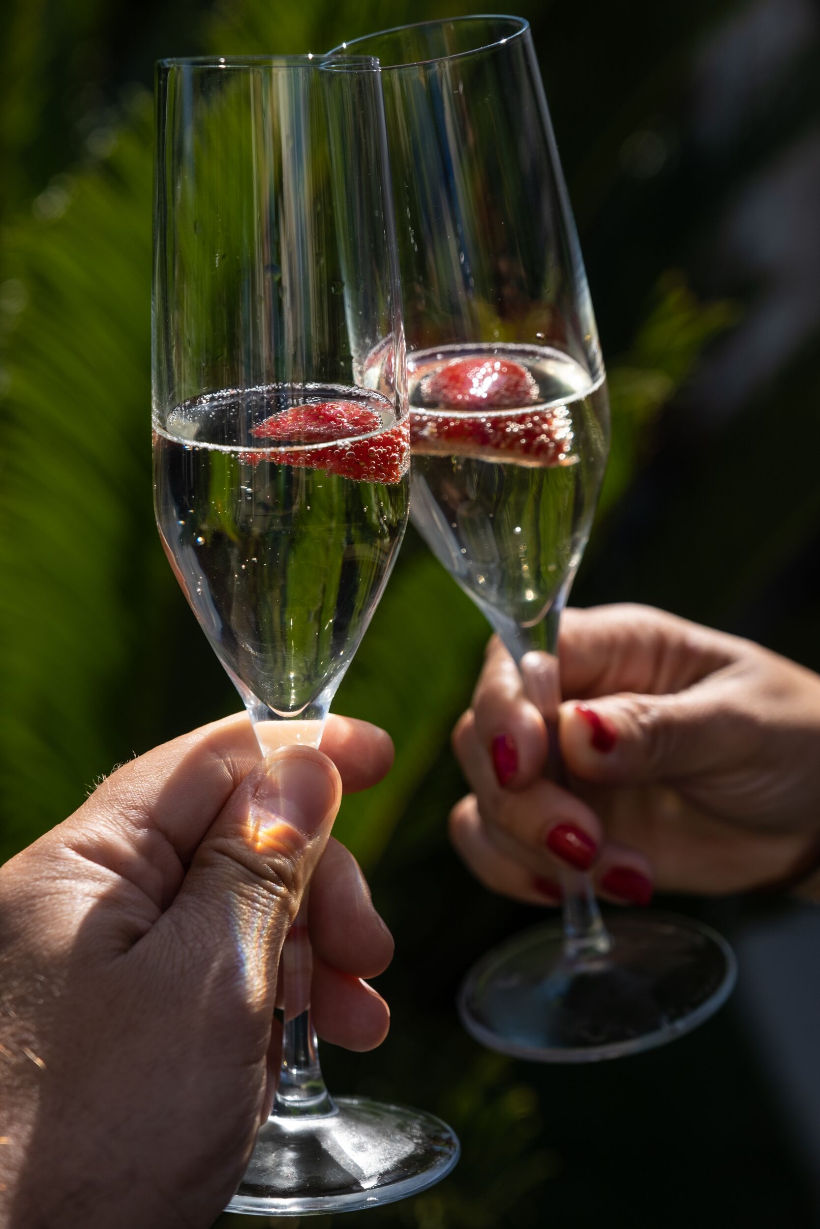 Dos copas de champán con una decoración de fresa, sujetadas por manos con esmalte rojo, al aire libre con follaje de fondo.