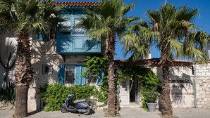 Een gebouw met een blauwe gevel, palmbomen en een scooter die ervoor geparkeerd staat.