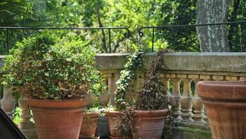 A terrace with a lounge chair, a potted plant, and a stone balustrade.