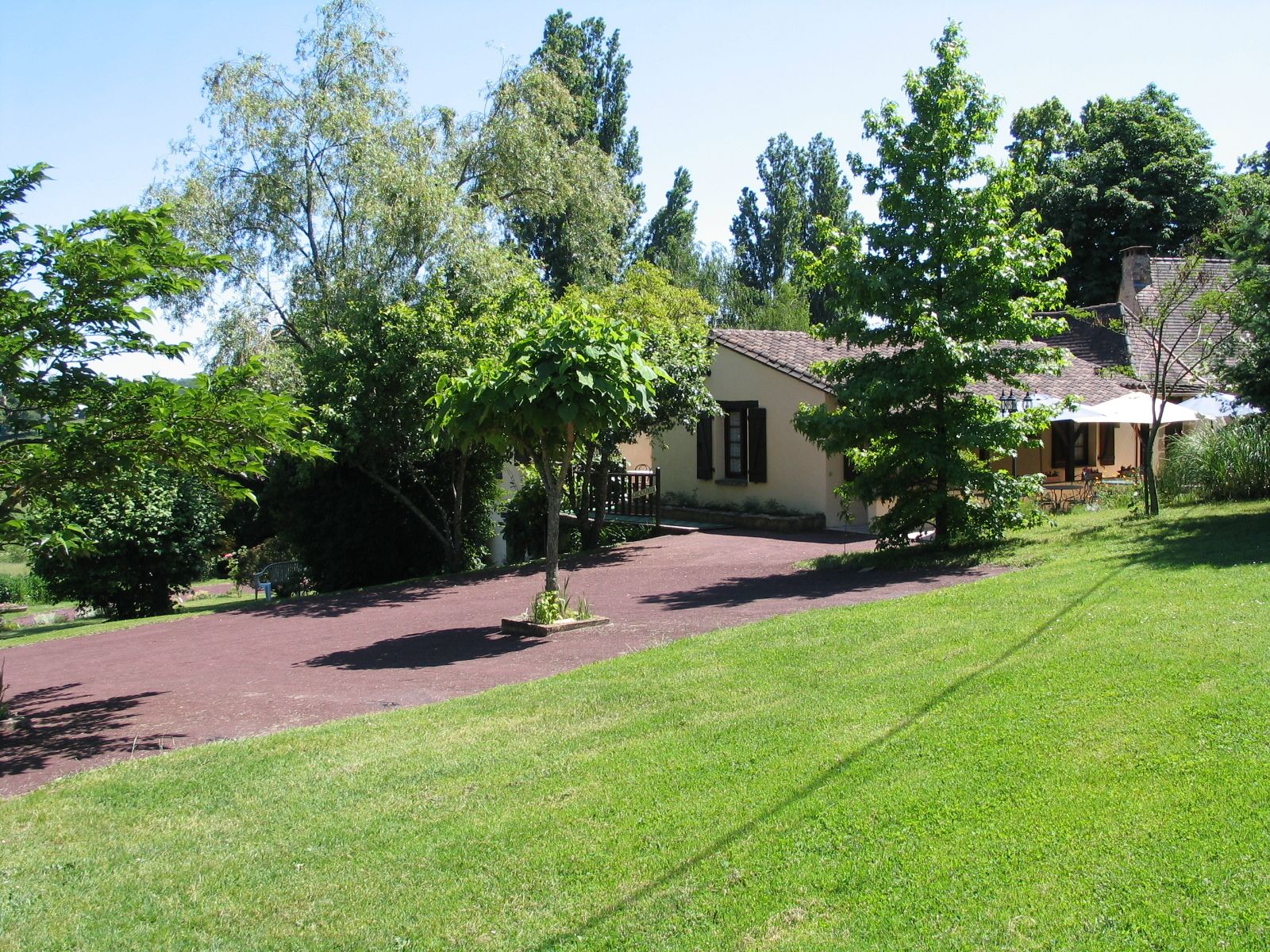 A house with a paved driveway, surrounded by lush greenery and trees.