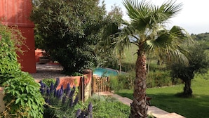 A garden with a variety of plants, a palm tree, and a pool in the background. - Clos des Aspres (Ortaffa)
