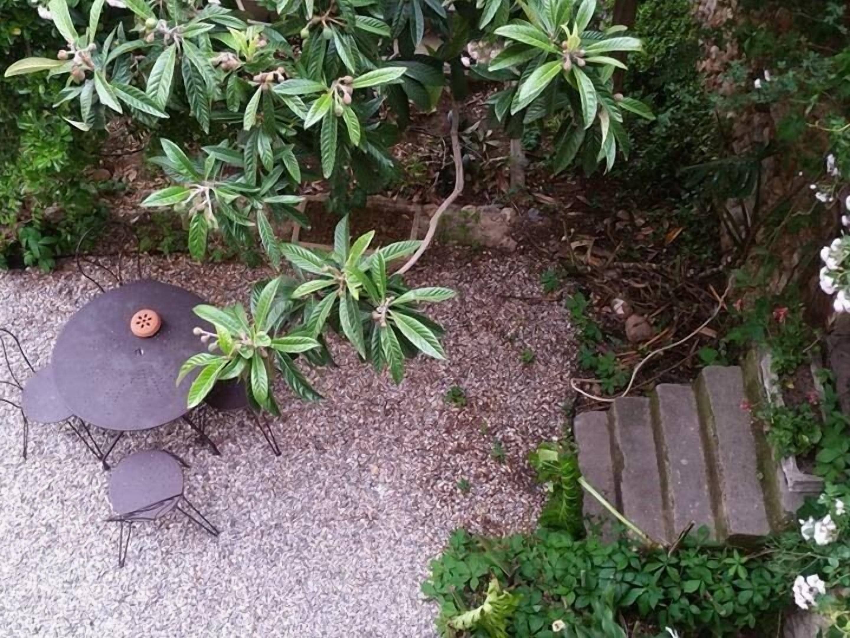 Chambre Double Supérieure, vue jardin (et montagne RDC)