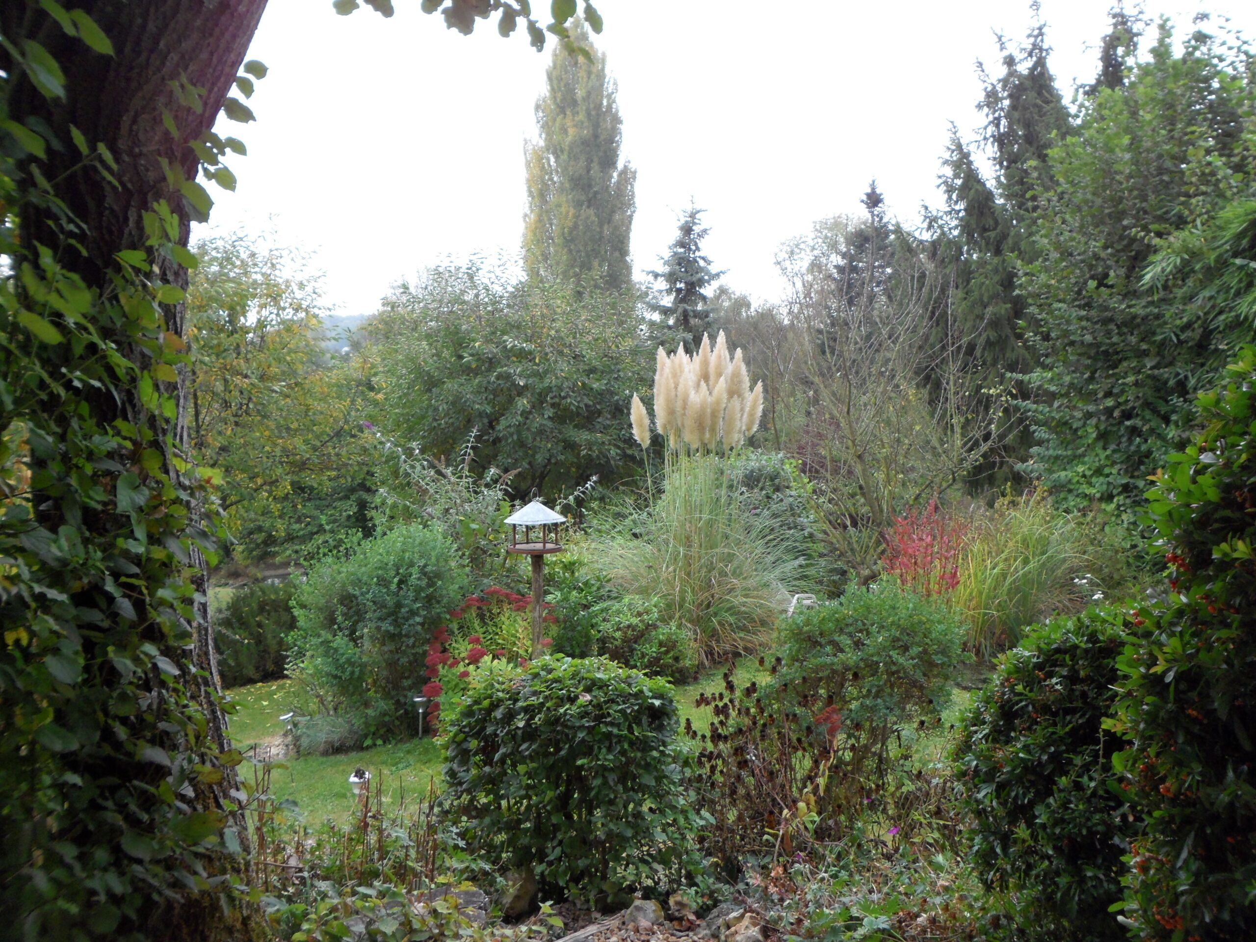 Een weelderige tuin met diverse planten en bomen, een vogelvoerder en een klein tuinhuisje.