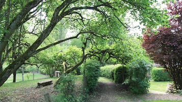 Taman