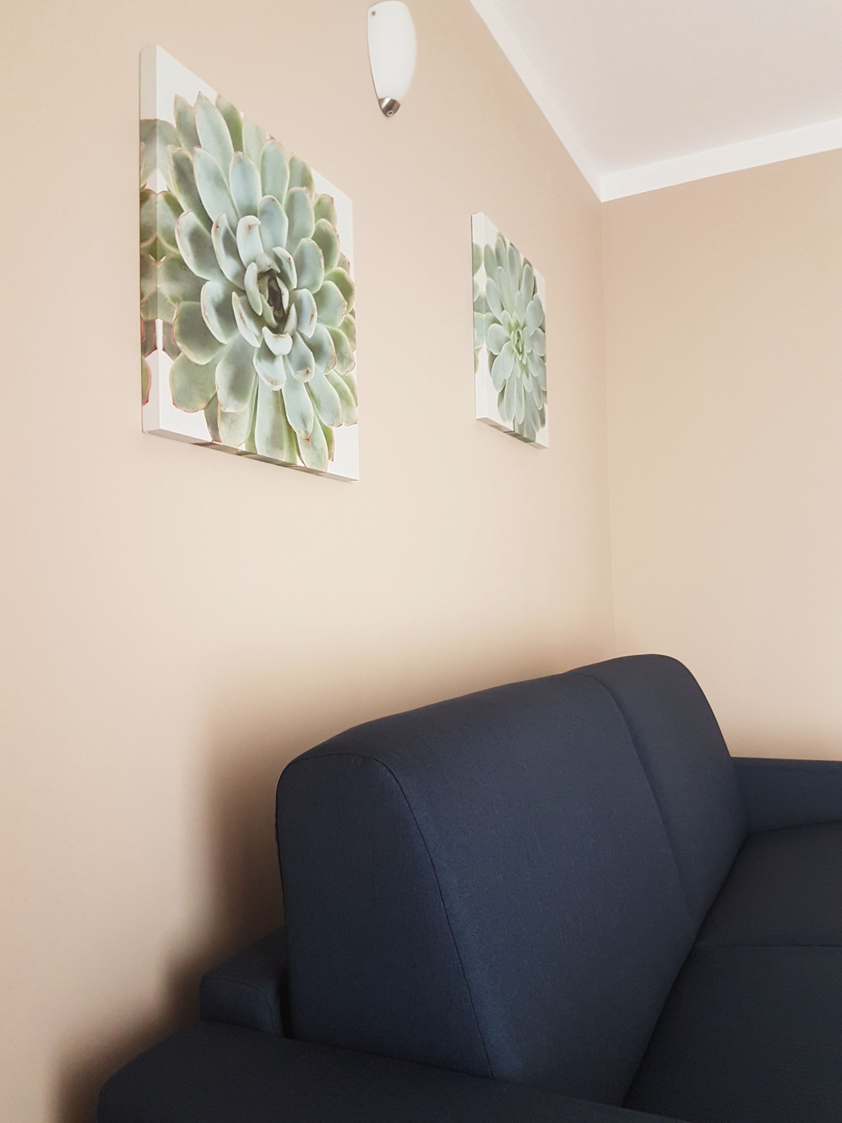 Une pièce avec un mur de couleur beige, un canapé bleu foncé et deux œuvres d’art encadrées représentant des plantes succulentes.