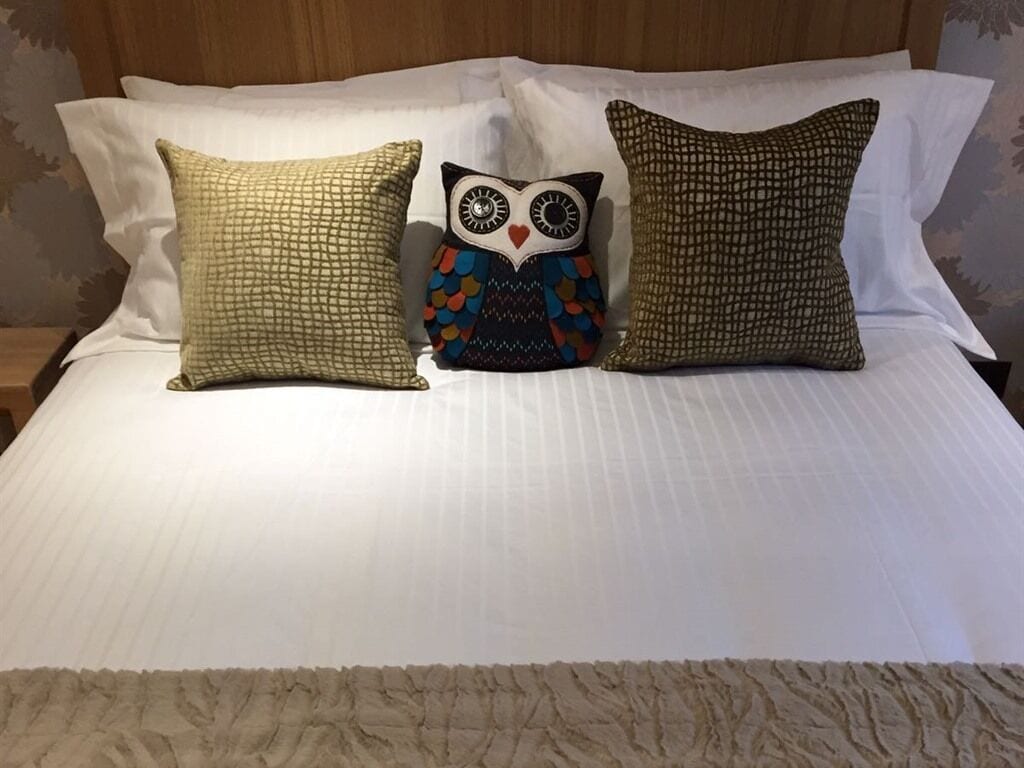 A bed with three pillows: two plain and one with an owl design.