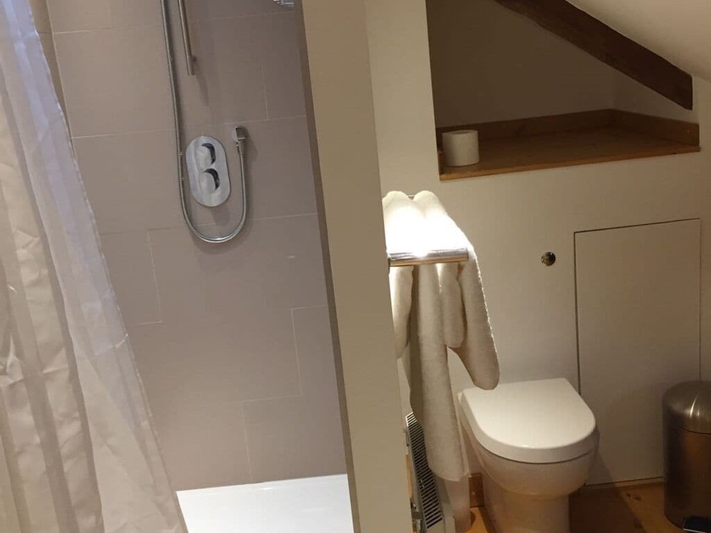 A bathroom with a shower, toilet, and a towel rack.