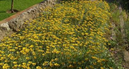 Hostal Alhambra Tarragona