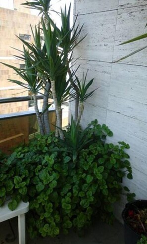 Property grounds - Hostal Alhambra Tarragona (Tarragona)