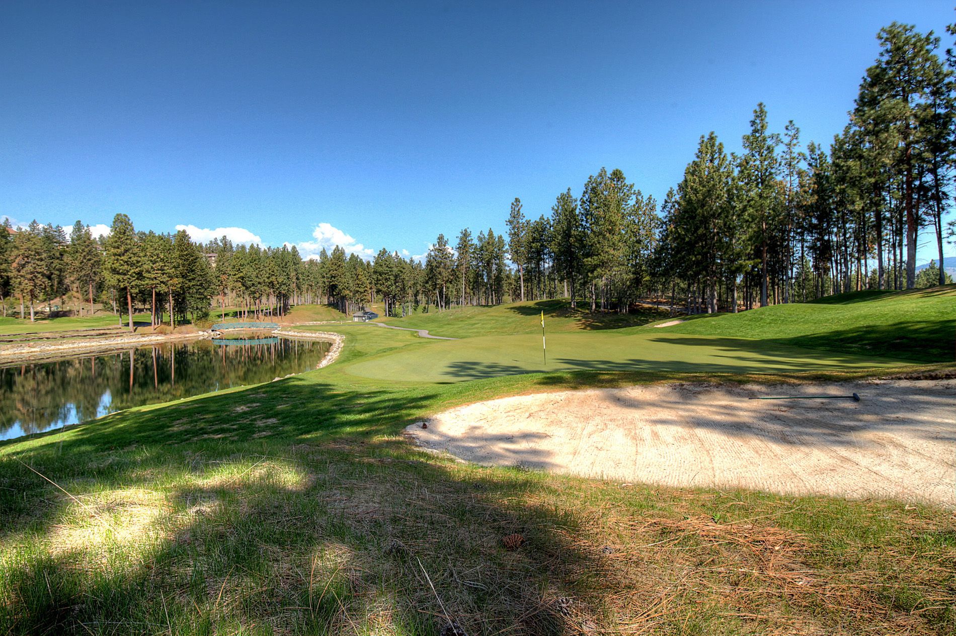 city suite, 3 bedrooms | 1 bedroom, desk, iron/ironing board, free wifi