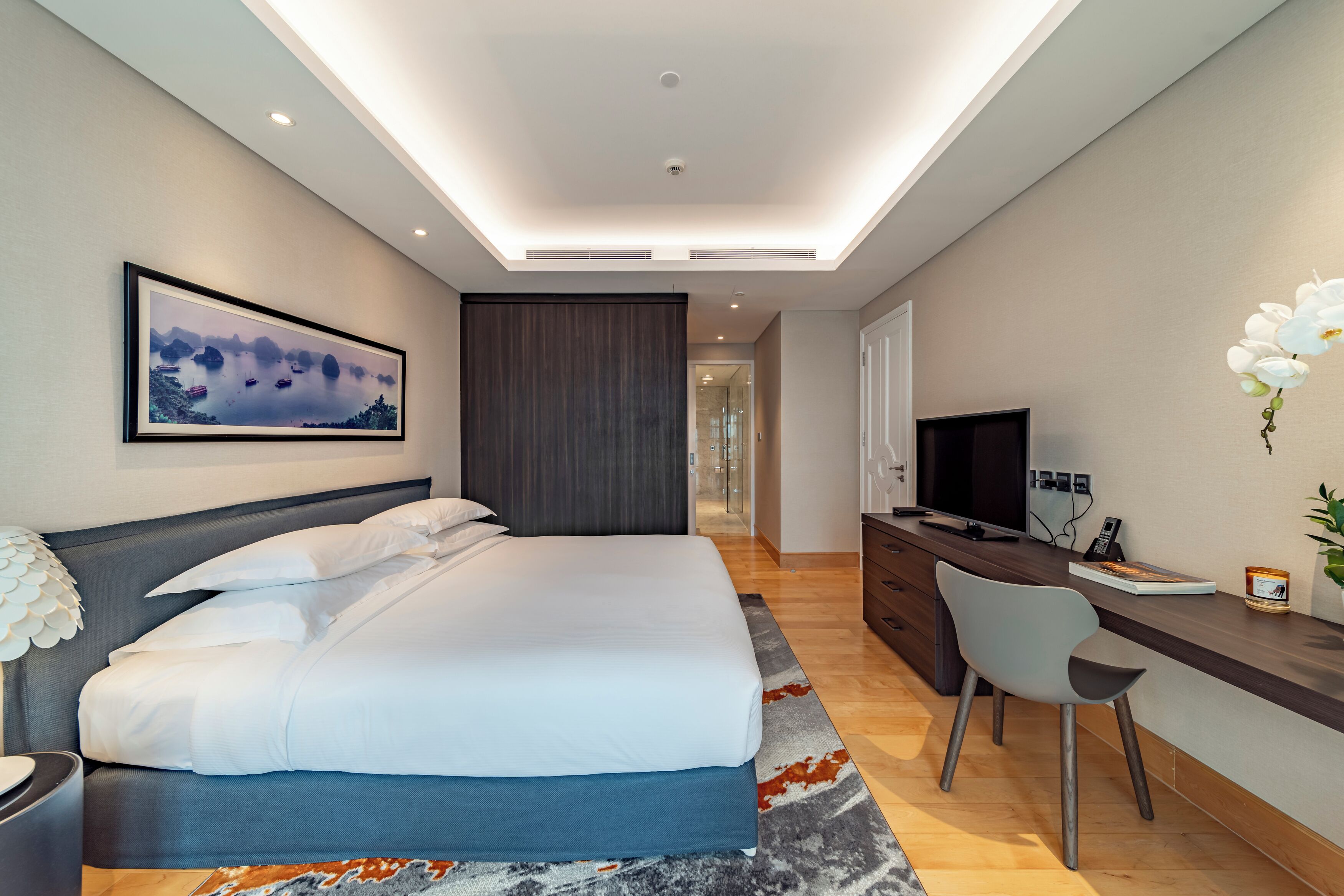 Una camera d'albergo moderna con un letto grande, una scrivania con un computer e una televisione.