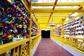 الإطلالة من المنشأة