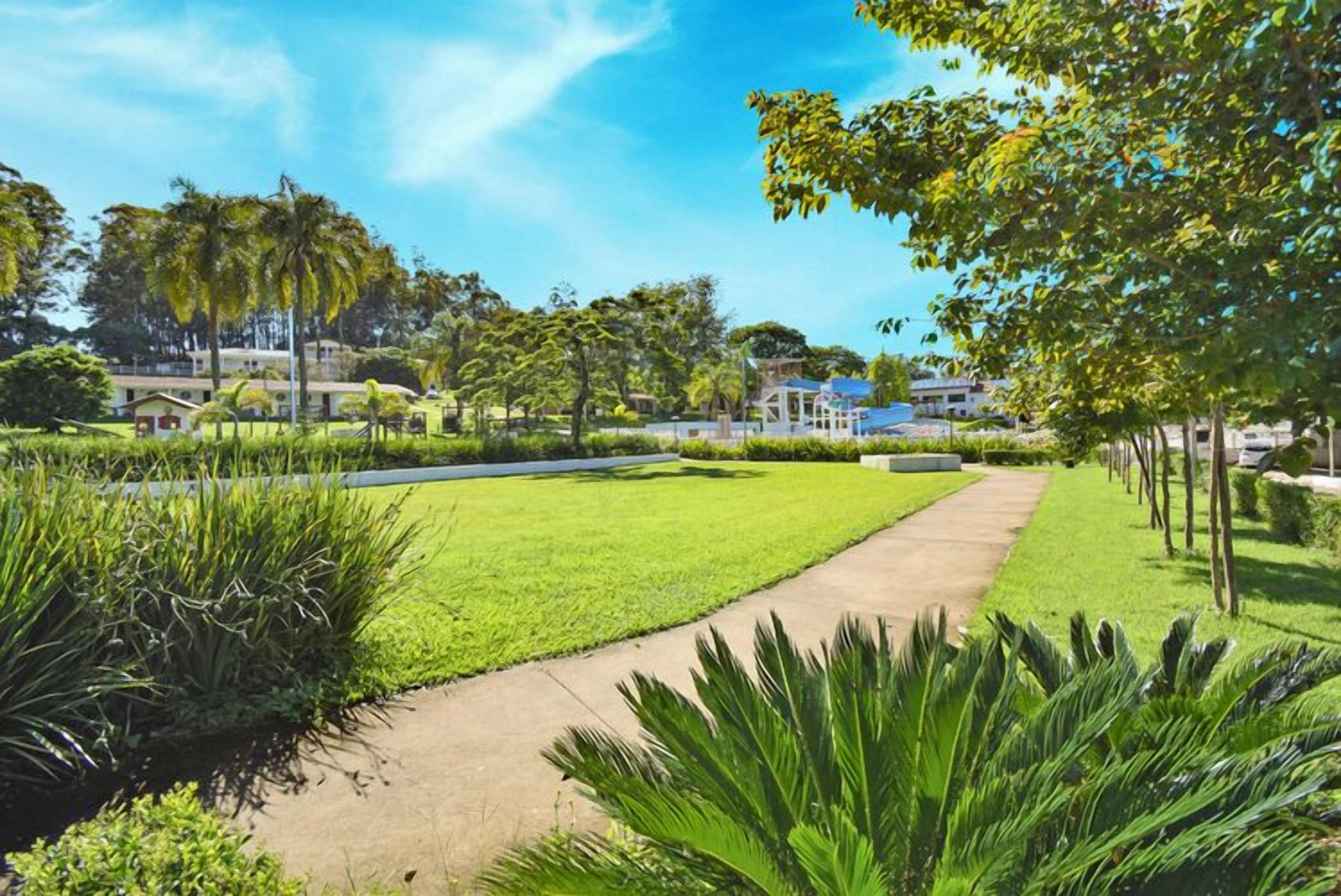 A well-maintained garden with a paved walkway, lush greenery, and a clear blue sky.