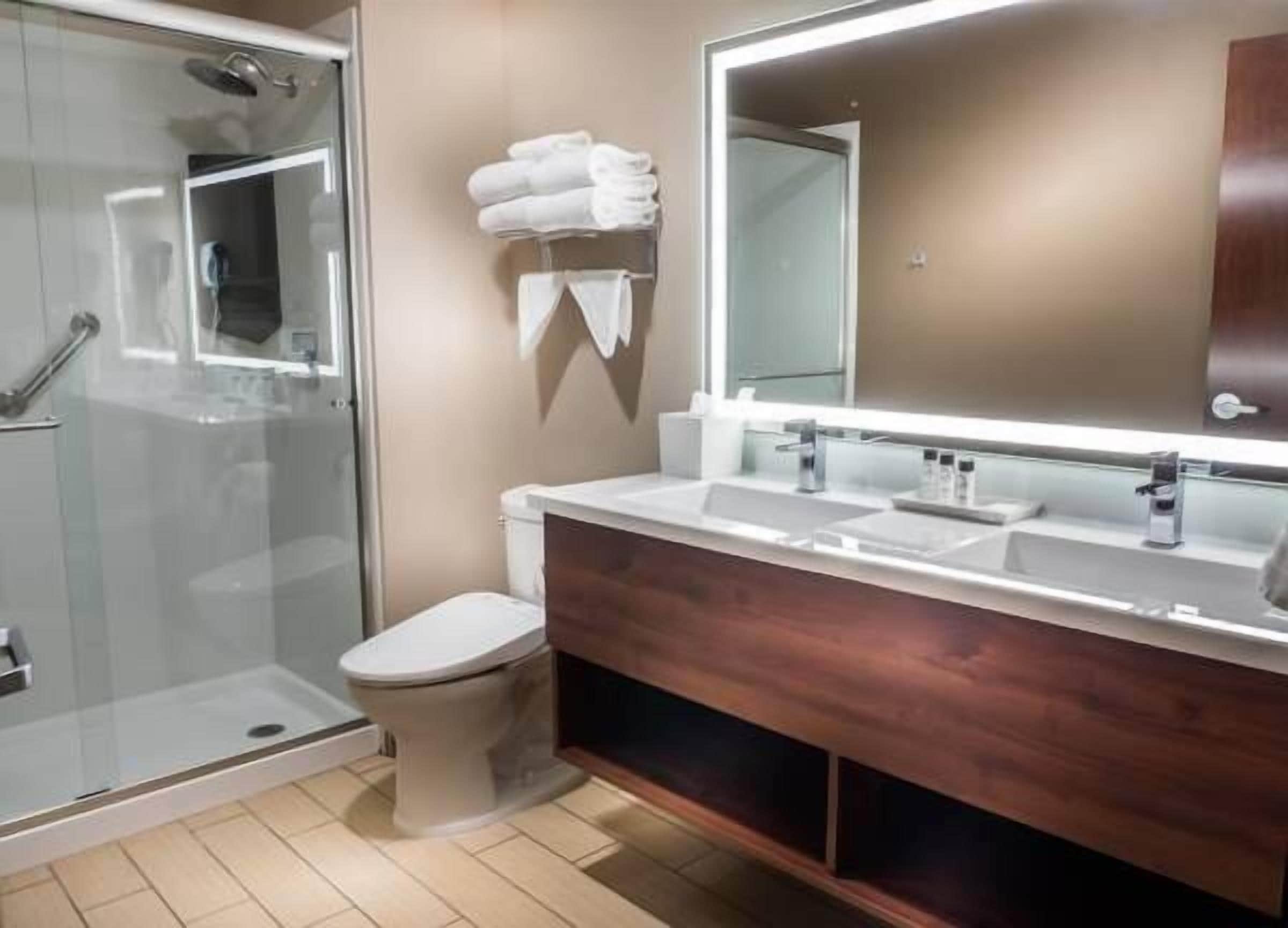 executive studio suite, 1 king bed | bathroom | shower, free toiletries, towels