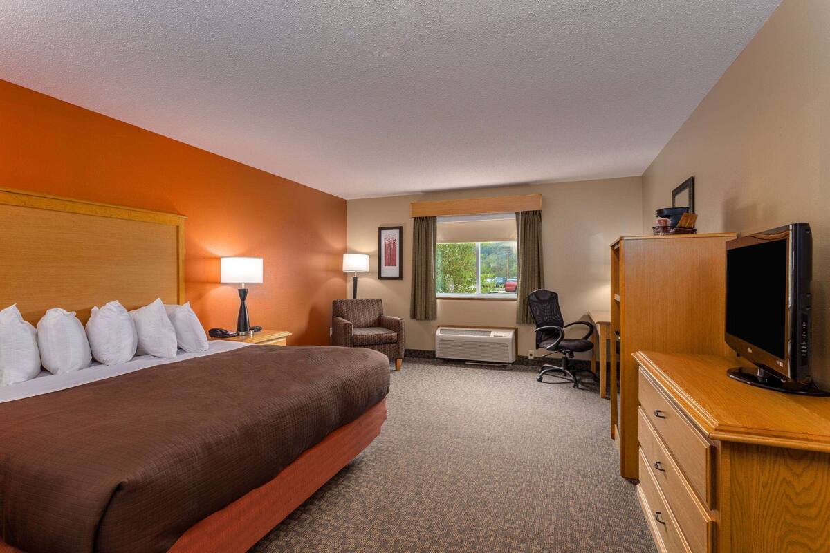A hotel room with a large bed, two bedside lamps, a television on a wooden cabinet, a chair, and a window with curtains.