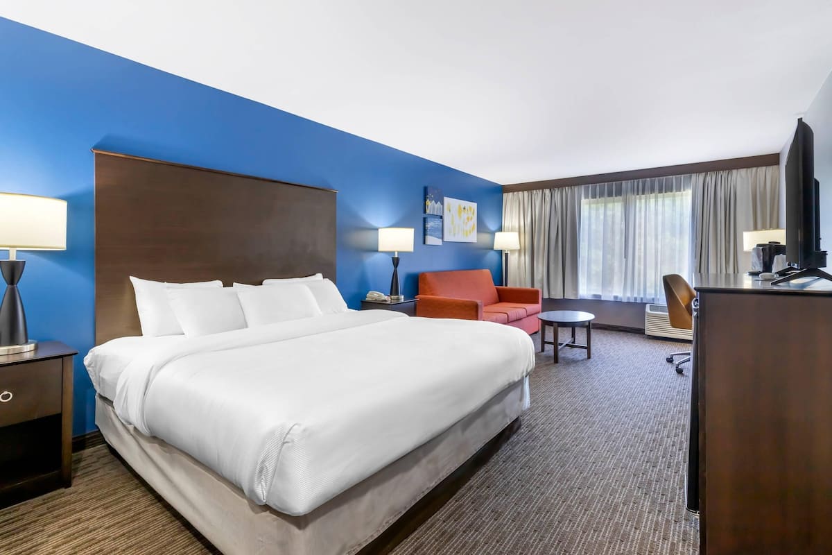 Suite, 1 King Bed with Sofa bed, Accessible, Non Smoking