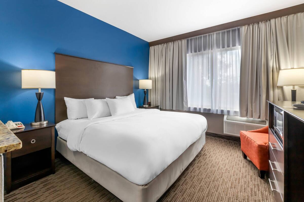 Suite, 1 King Bed with Sofa bed, Non Smoking
