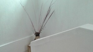 A narrow stairwell with a small framed picture and a vase with long, thin branches.