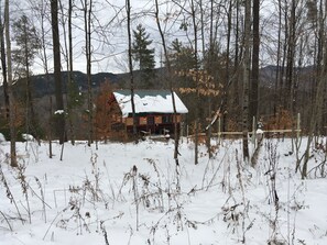 Escape to a secluded cabin surrounded by snow-covered trees in a tranquil forest setting.