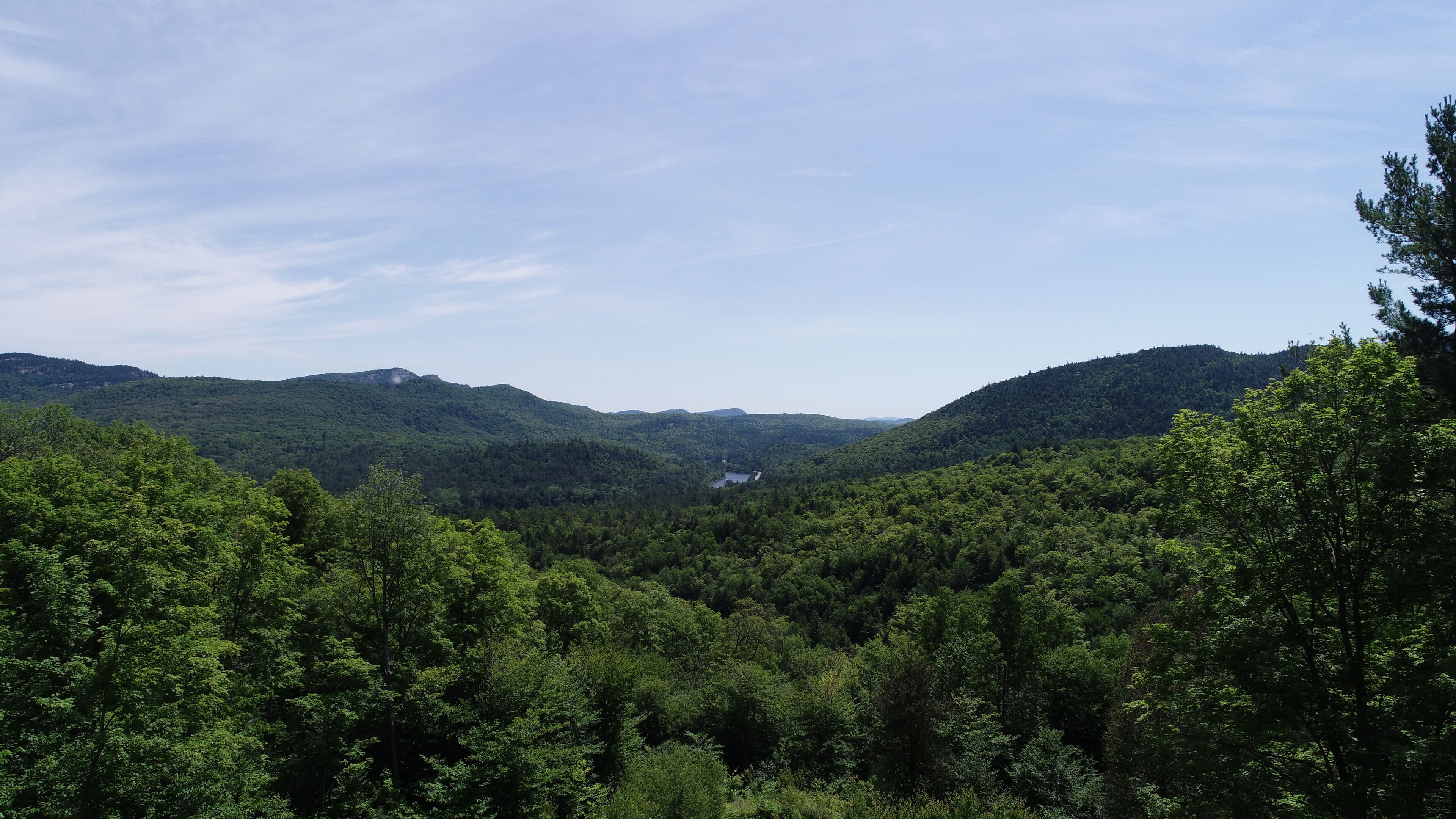 A mountainous landscape with dense forest and a visible cabin.