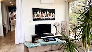 Télévision, lecteur de DVD, livres, chaßne hi-fi