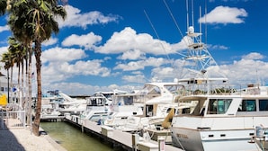 Eine Marina mit mehreren Yachten im Hafen, eine Palme und blauer Himmel.