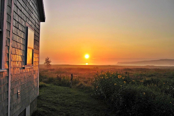 Área da propriedade