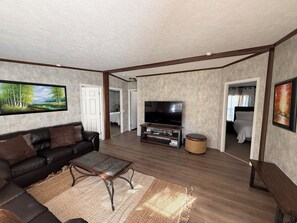 Smart TV, fireplace, DVD player, books