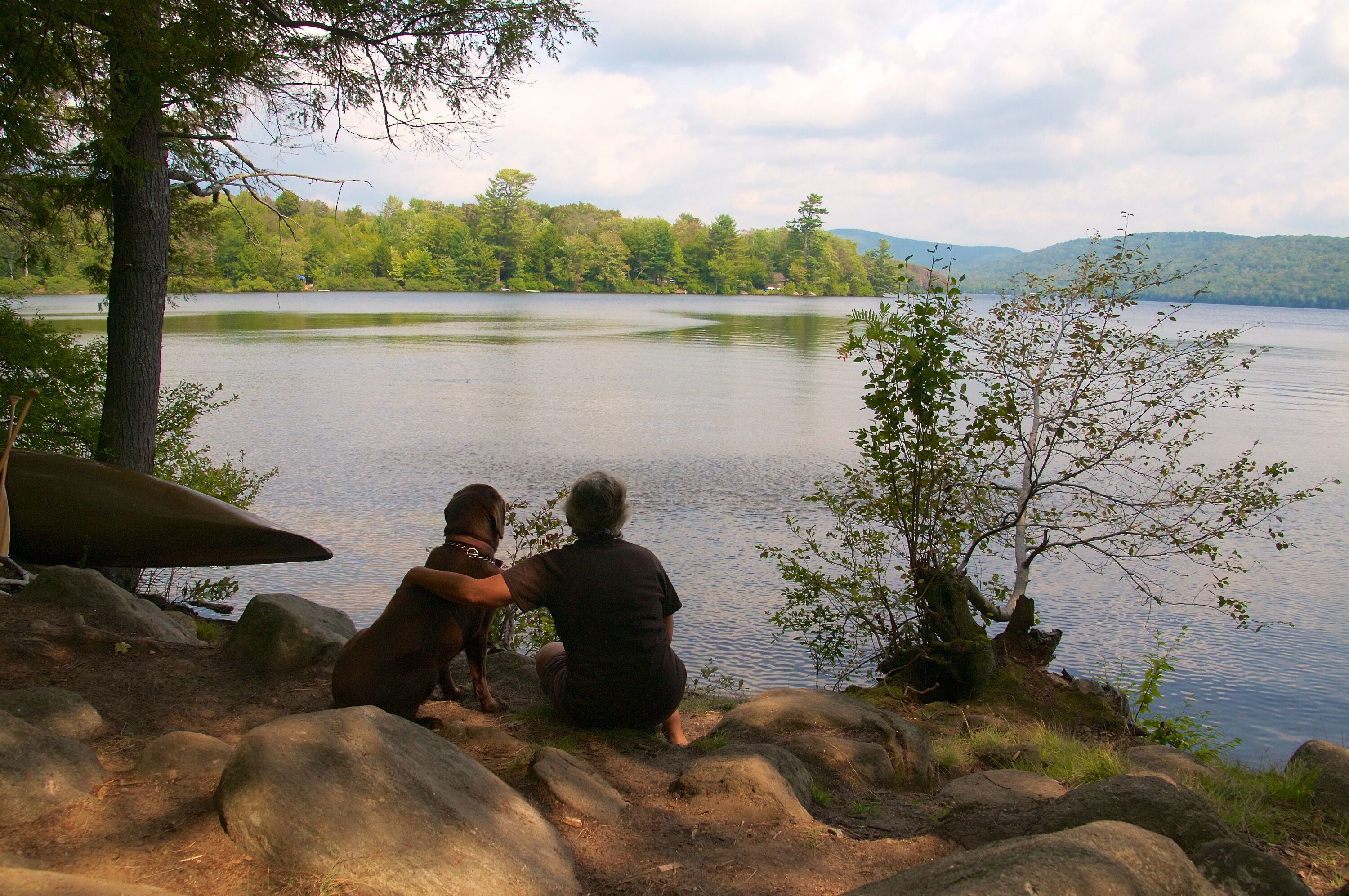 A lake with a rocky shoreline, trees, and a cabin in the background.