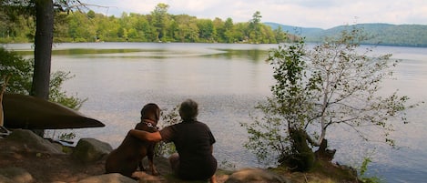 A lake with a rocky shoreline, trees, and a cabin in the background.