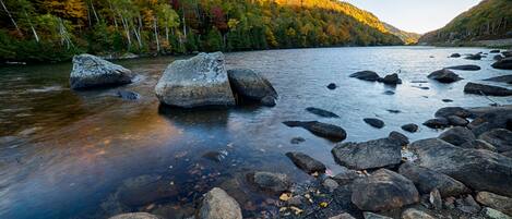 A river with large rocks in the foreground and a forested hillside in the background.