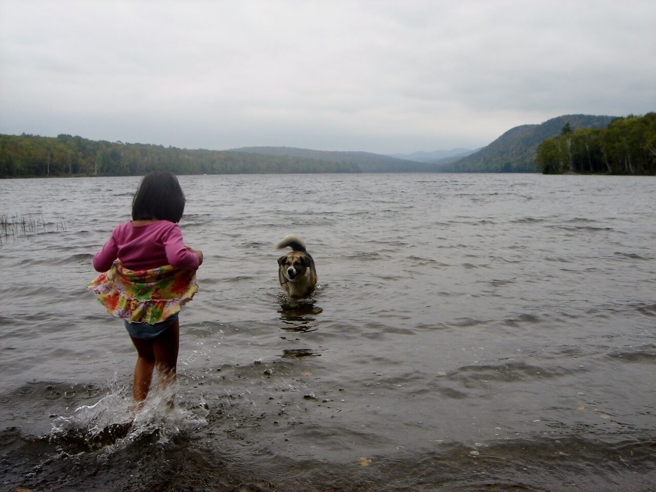 A person walking through a body of water with a dog.