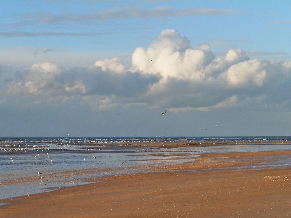 Una playa con una extensa zona arenosa, una gran formación de nubes y una vista distante del océano.