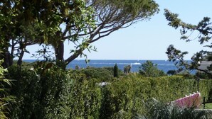 A coastal landscape with dense greenery, a large tree, and a view of the sea. - 400m from the beach, garden level with 1.250 m2 of enclosed land (Ramatuelle)