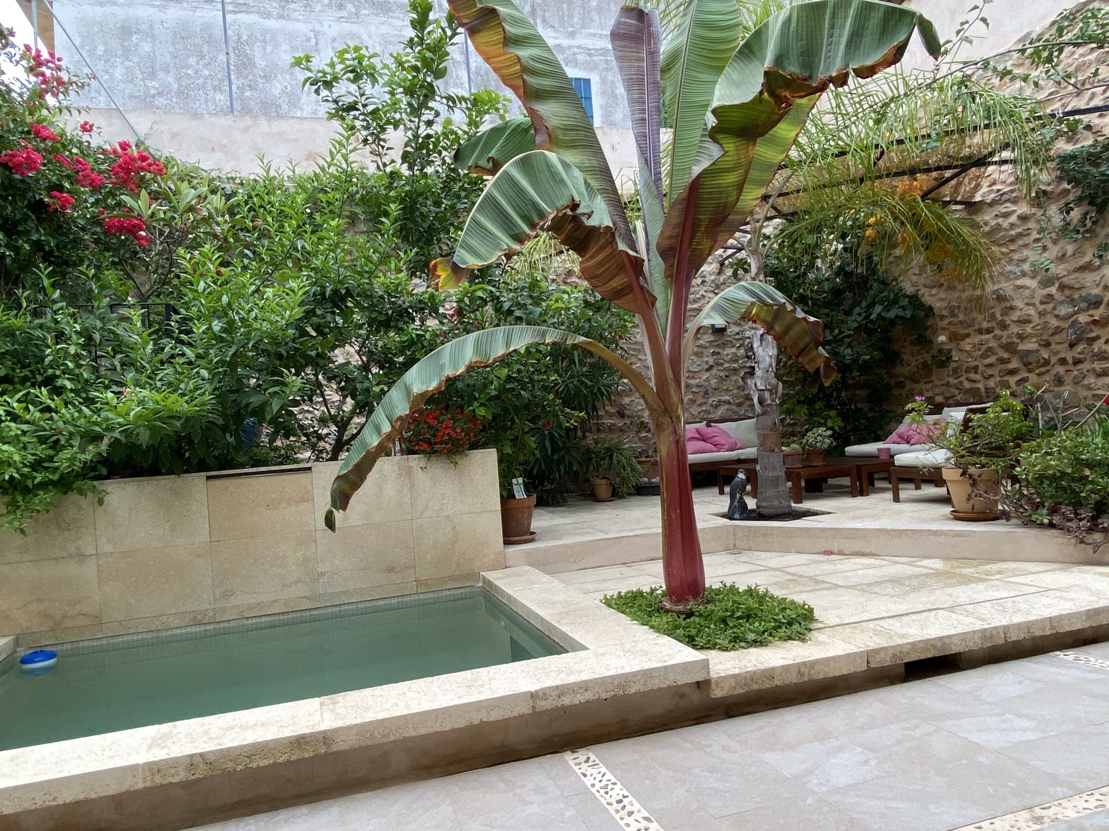 Un espace piscine agrémenté d’un mur en pierre, d’un banc et de différents pots de plantes.