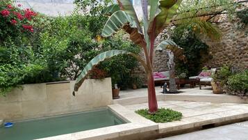 Un espace piscine agrémenté d’un mur en pierre, d’un banc et de différents pots de plantes.
