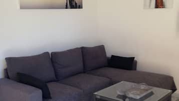 Télévision, lecteur de DVD, livres