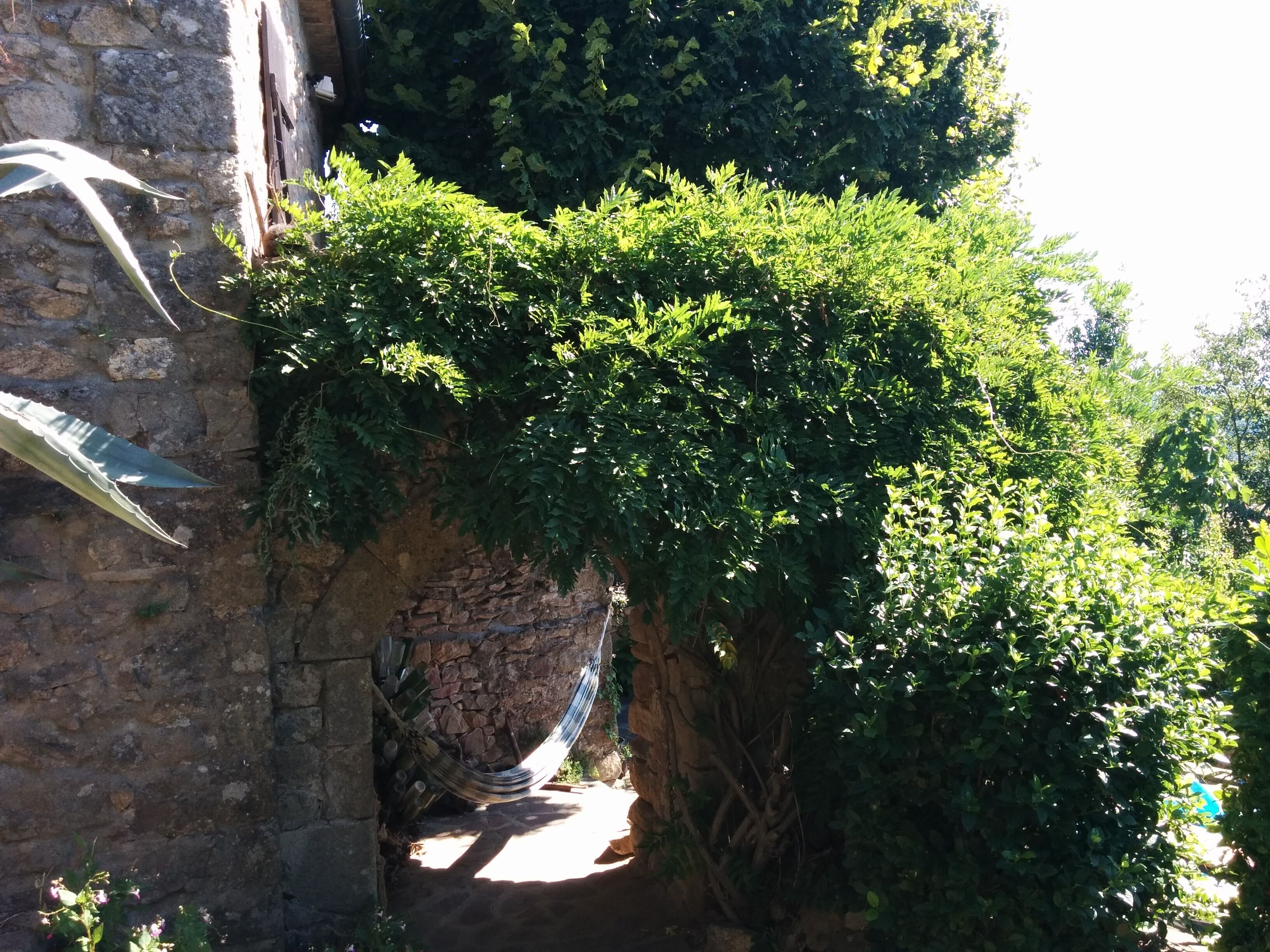 A stone wall with a hammock and lush green foliage.