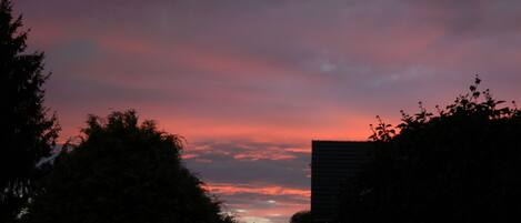 Een zonsondergang met de silhouetten van bomen en een gebouw.