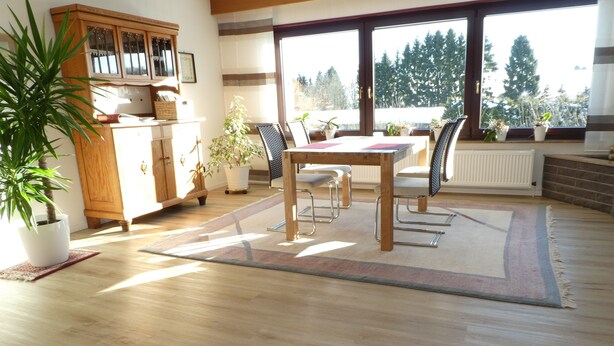 Une pièce spacieuse avec une table et des chaises en bois, une plante en pot et une vue sur les arbres à travers de grandes fenêtres.
