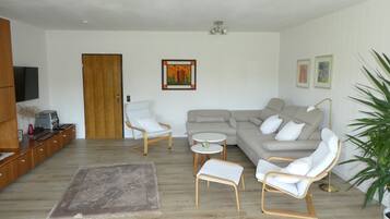 Fernseher, Bücher, Musikbibliothek, Stereoanlage