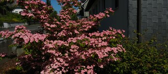 Spacieux, calme, appartement 4 étoiles (DTV), prÚs de la réserve naturelle