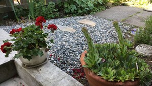 Un jardin agrémenté de plantes en pot et doté d’un chemin recouvert de gravier.