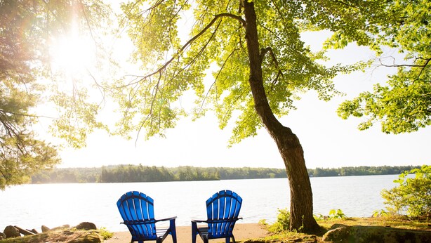 Two Adirondack chairs facing a lake with a tree in the foreground.