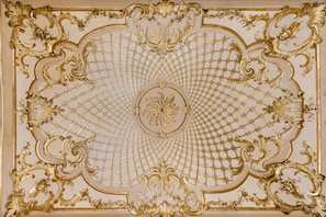 A ceiling with ornate gold detailing and a central floral motif. - Palazzo del Carretto (Turin)
